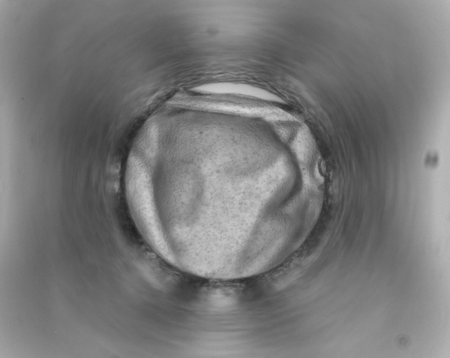 X0000090440368200708102032
