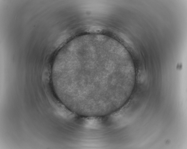 X0000090440370200708102032