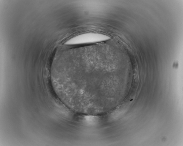 X0000090440371200708102032