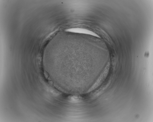 X0000090440372200708102032