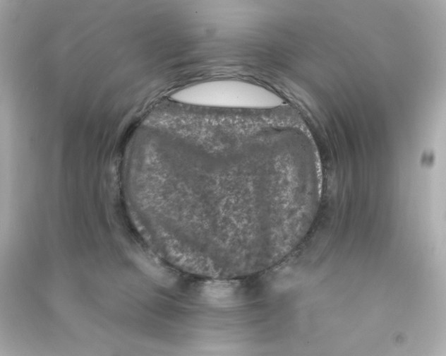 X0000090440373200708102032