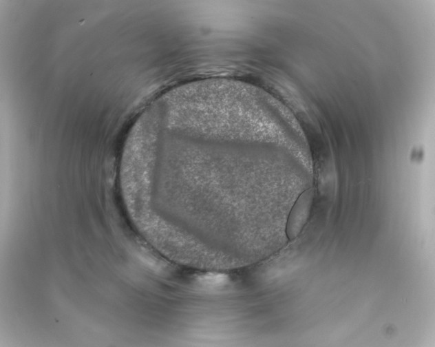 X0000090440374200708102032