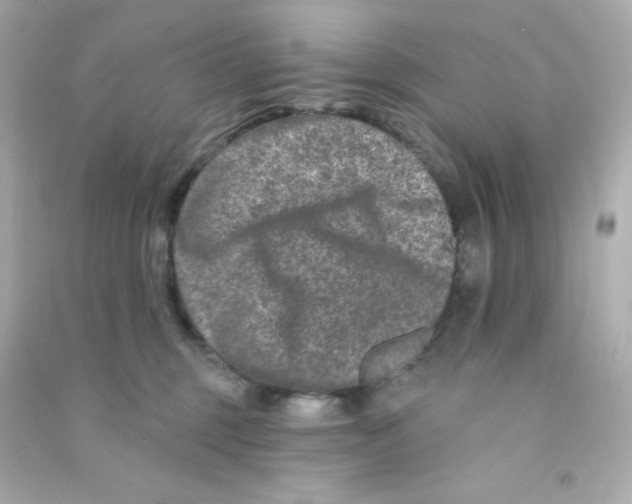 X0000090440375200708102032