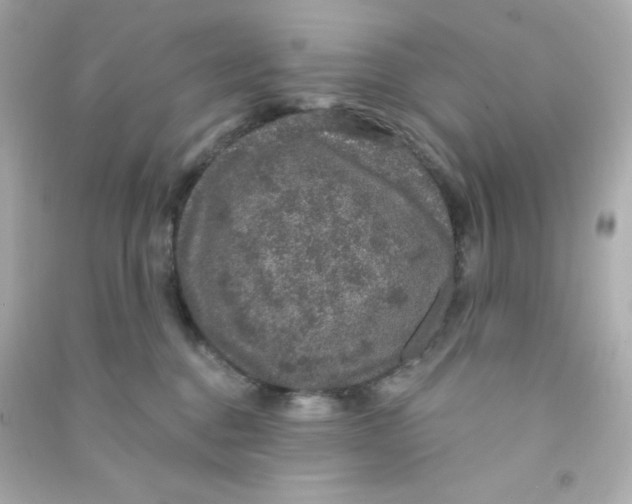 X0000090440376200708102032