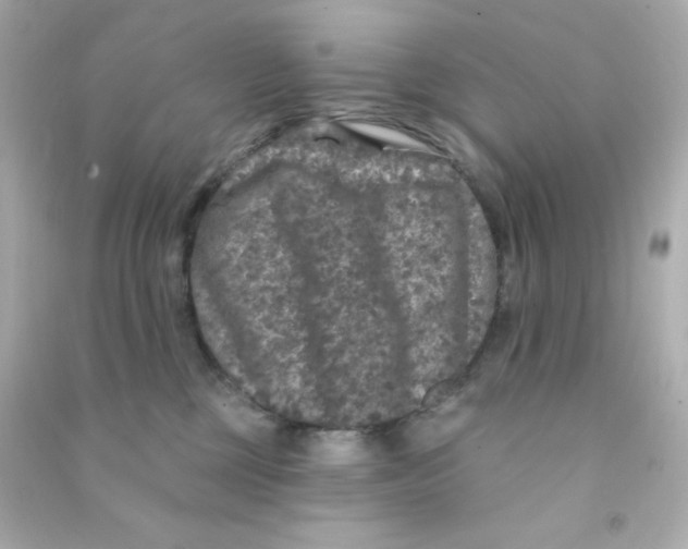 X0000090440377200708102032