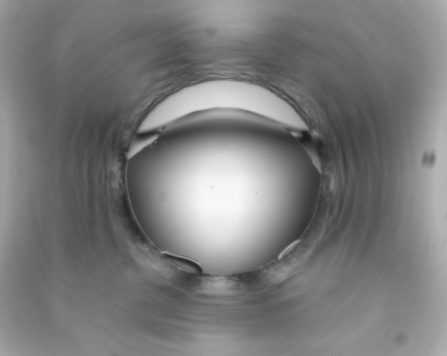 X0000090440380200708102032