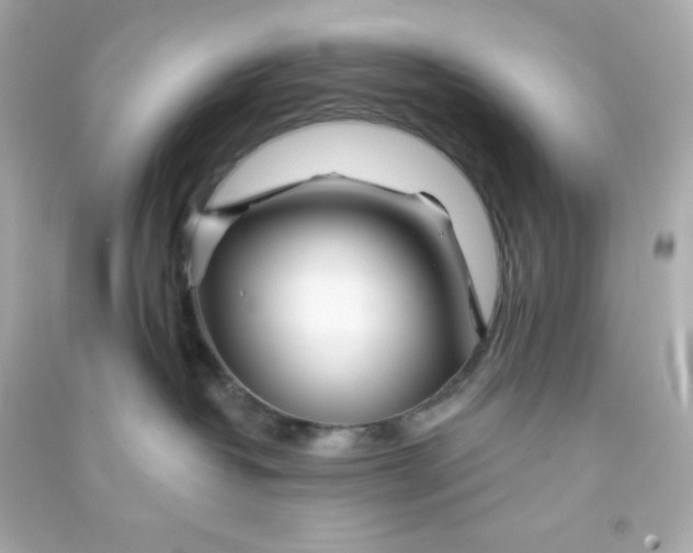 X0000090440382200708102033