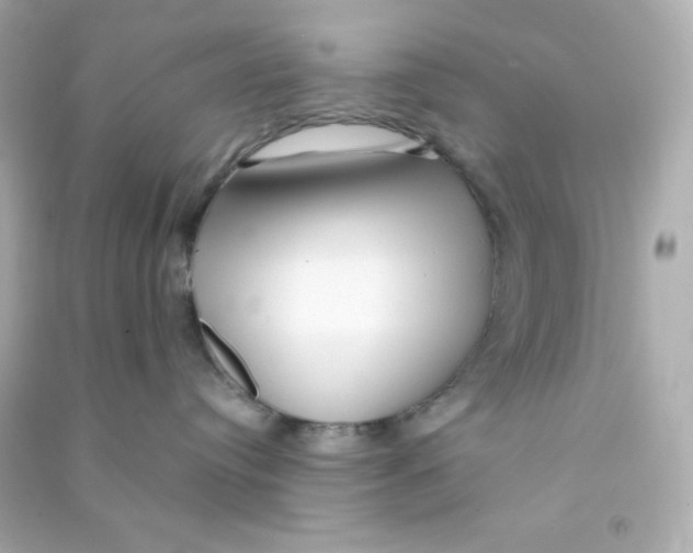X0000090440384200708102033
