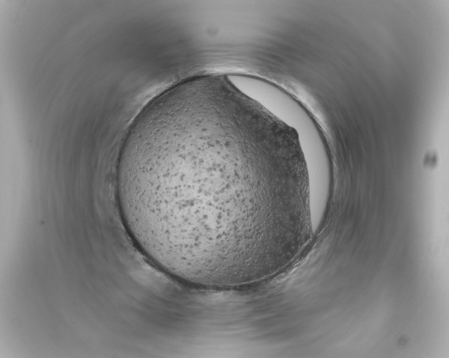 X0000090440385200708102032