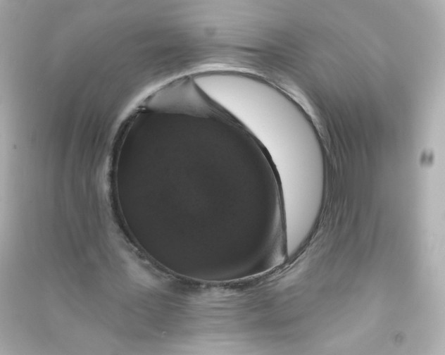 X0000090440387200708102032