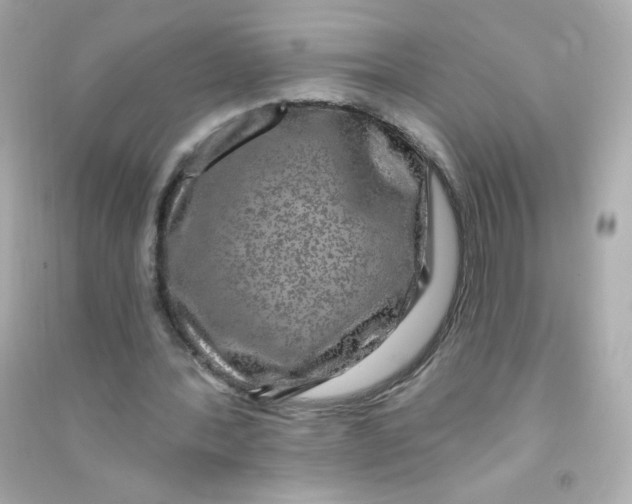 X0000090440388200708102032