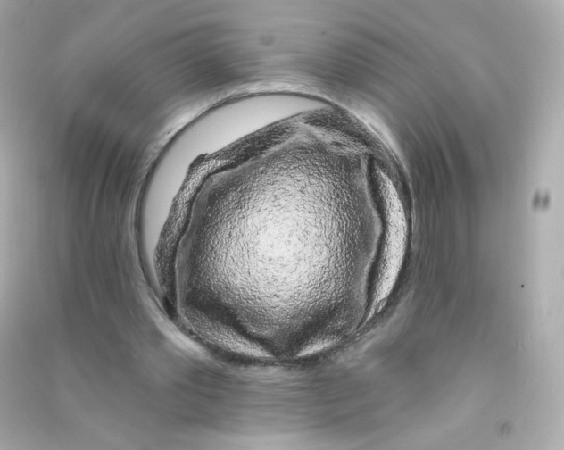 X0000090440389200708102032
