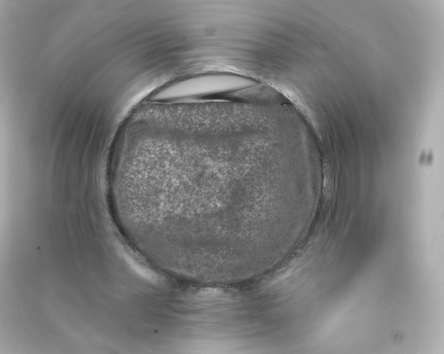 X0000090440390200708102032