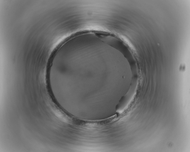 X0000090440391200708102032