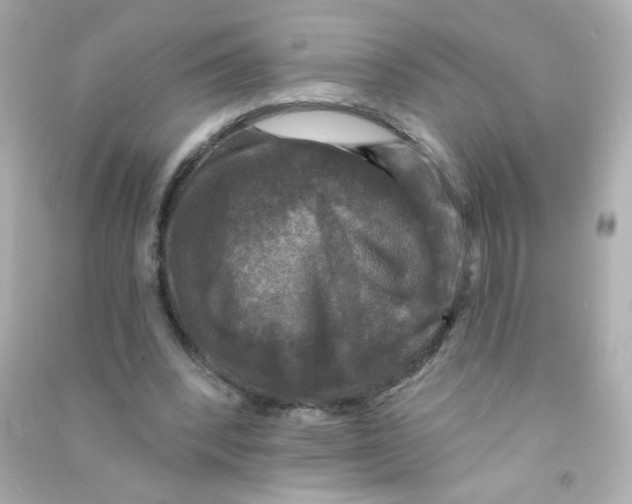 X0000090440392200708102032