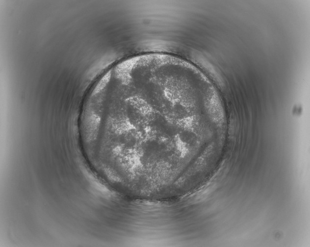 X0000090440394200708102032