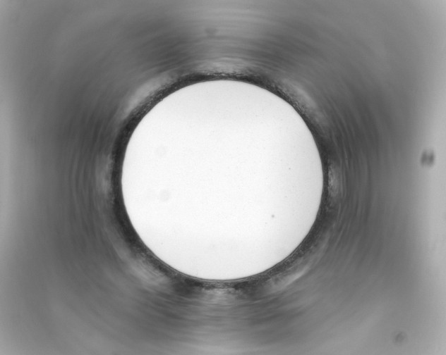 X0000090440396200708102032