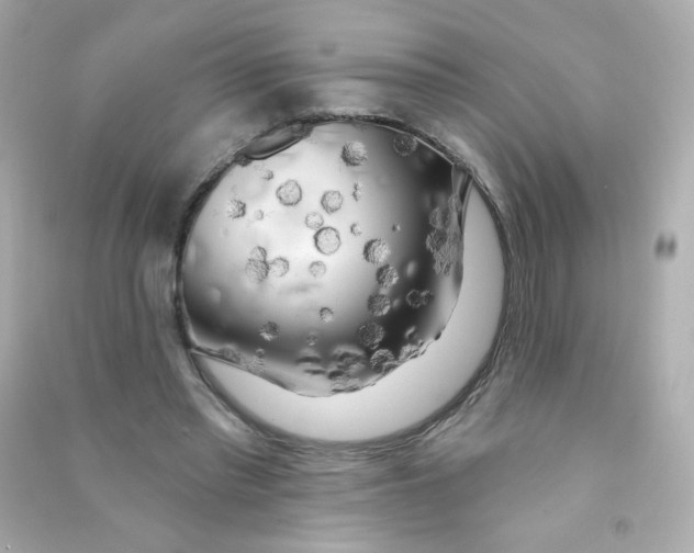X0000090440397200708102032
