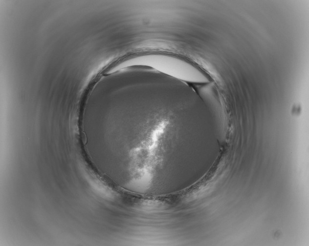 X0000090440399200708102032