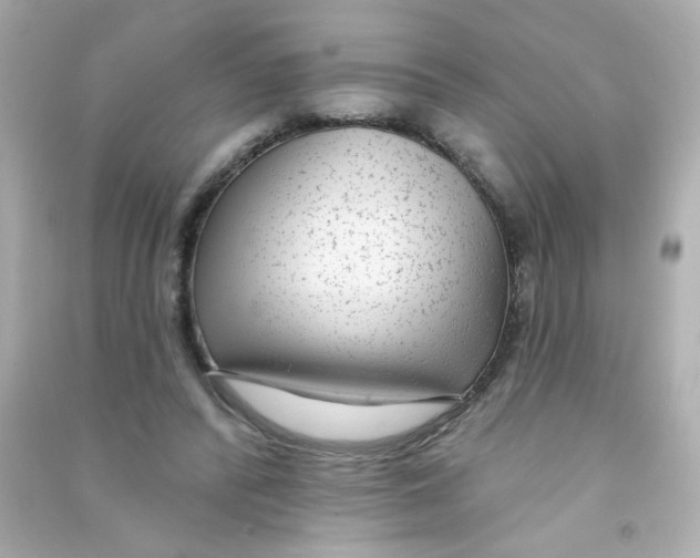 X0000090440400200708102032