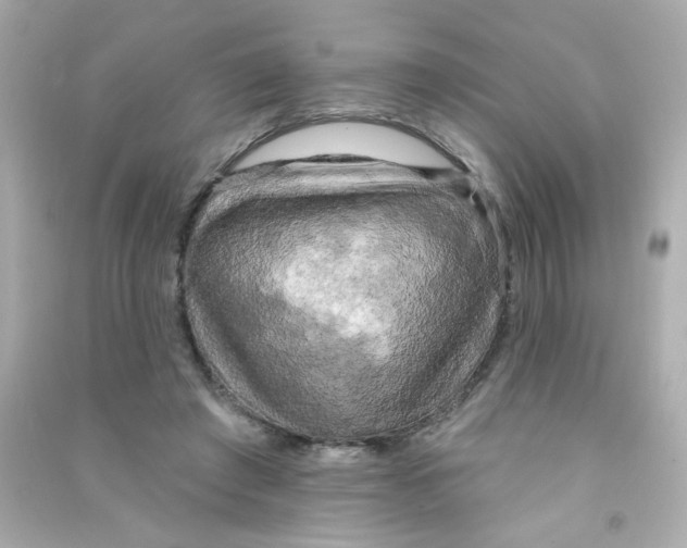 X0000090440401200708102032