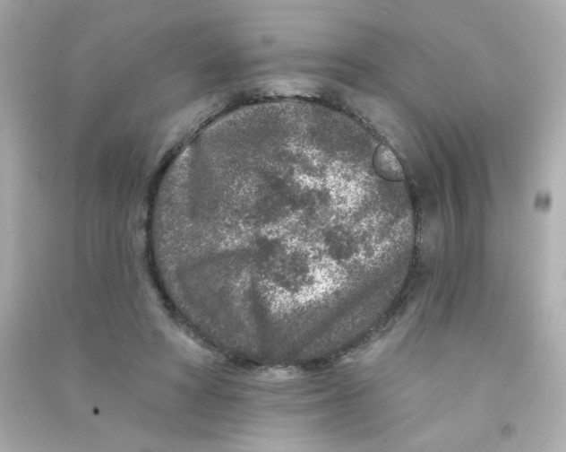 X0000090440402200708102032