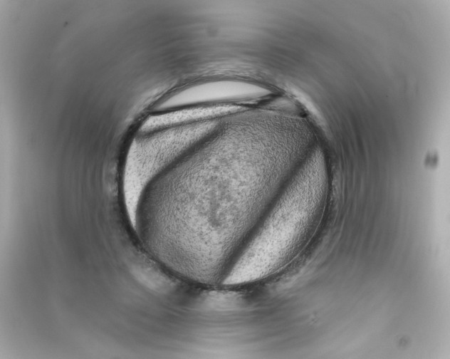 X0000090440403200708102032