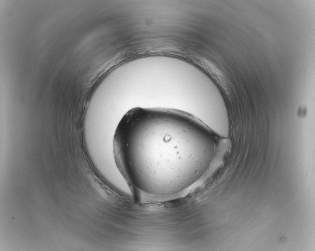 X0000090440405200708102032