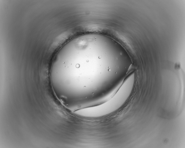 X0000090440407200708102032