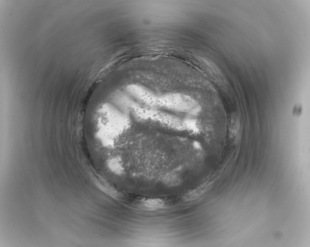 X0000090440409200708102032