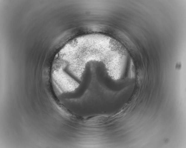 X0000090440410200708102032