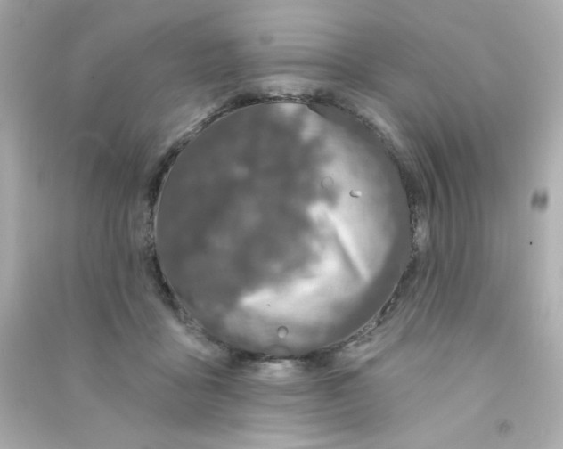 X0000090440411200708102032