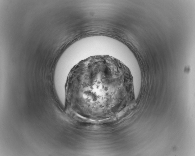 X0000090440412200708102032