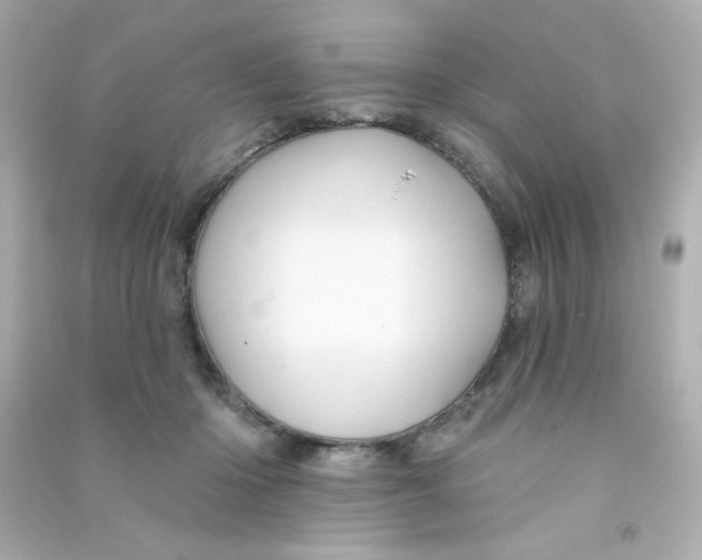 X0000090440414200708102031