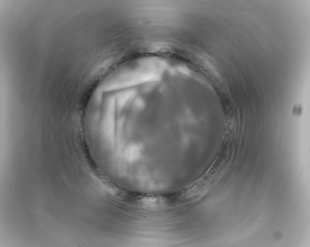 X0000090440415200708102031