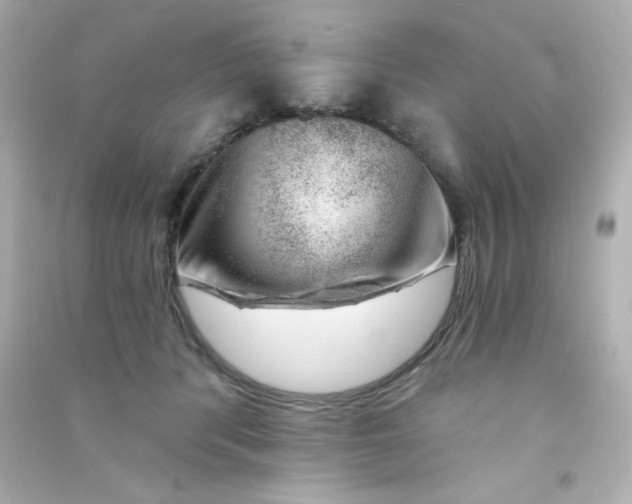 X0000090440416200708102031