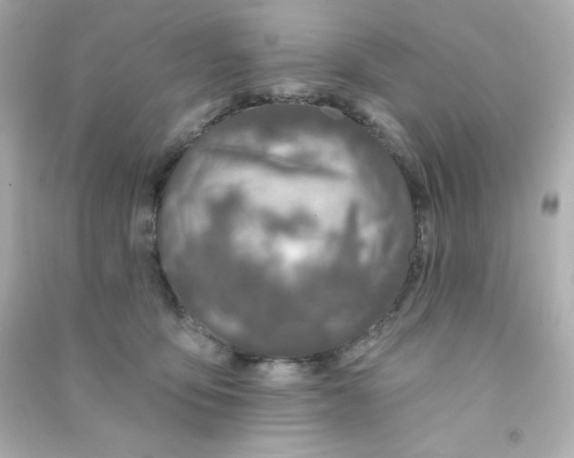 X0000090440419200708102031