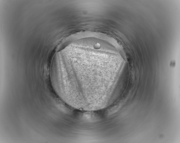 X0000090440420200708102031