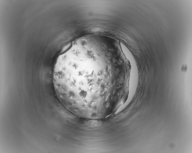 X0000090440421200708102031