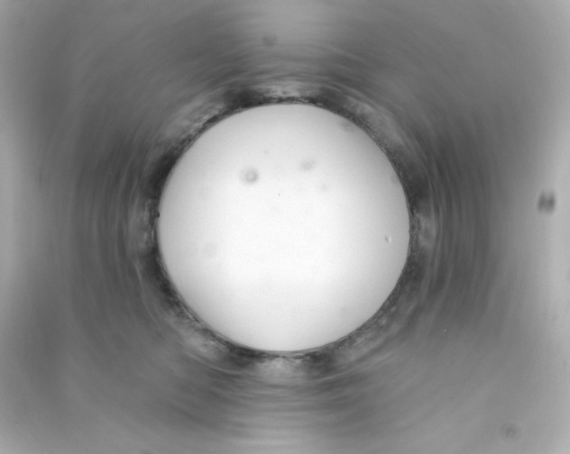 X0000090440422200708102031