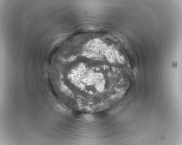 X0000090440423200708102031