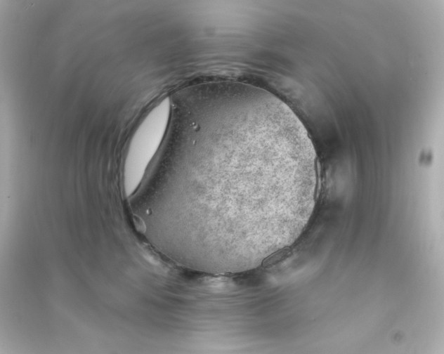 X0000090440424200708102031