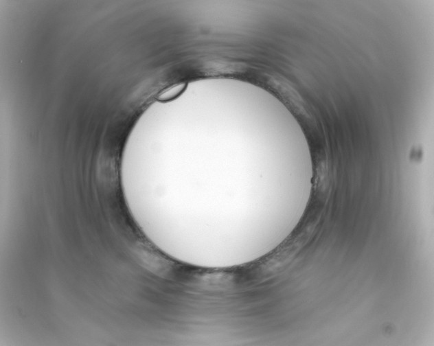 X0000090440426200708102031