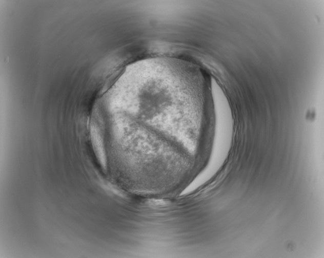 X0000090440429200708102031
