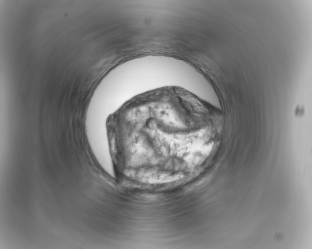 X0000090440432200708102031