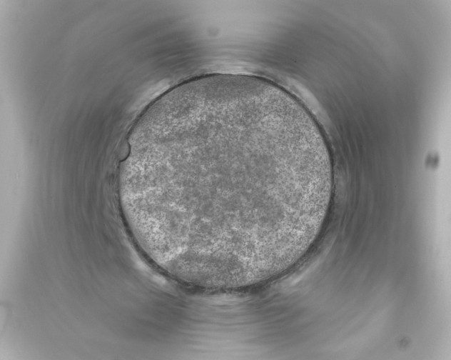 X0000090440433200708102030