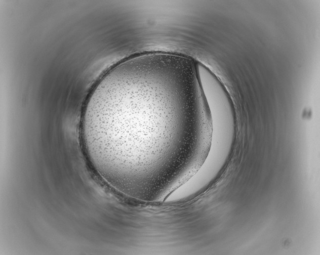 X0000090440434200708102030