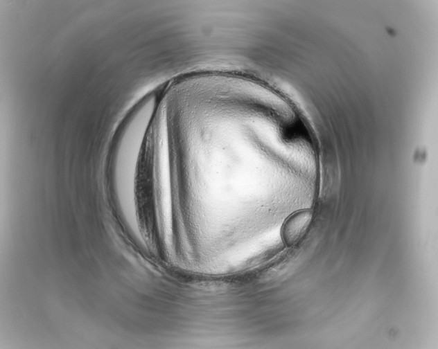 X0000090440435200708102030