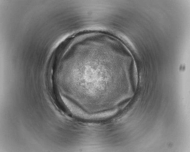 X0000090440436200708102030