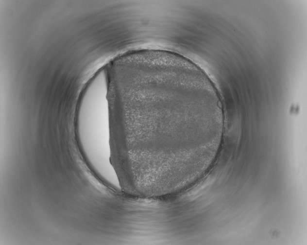 X0000090440437200708102030